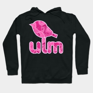 Ulmer Spatz Hoodie